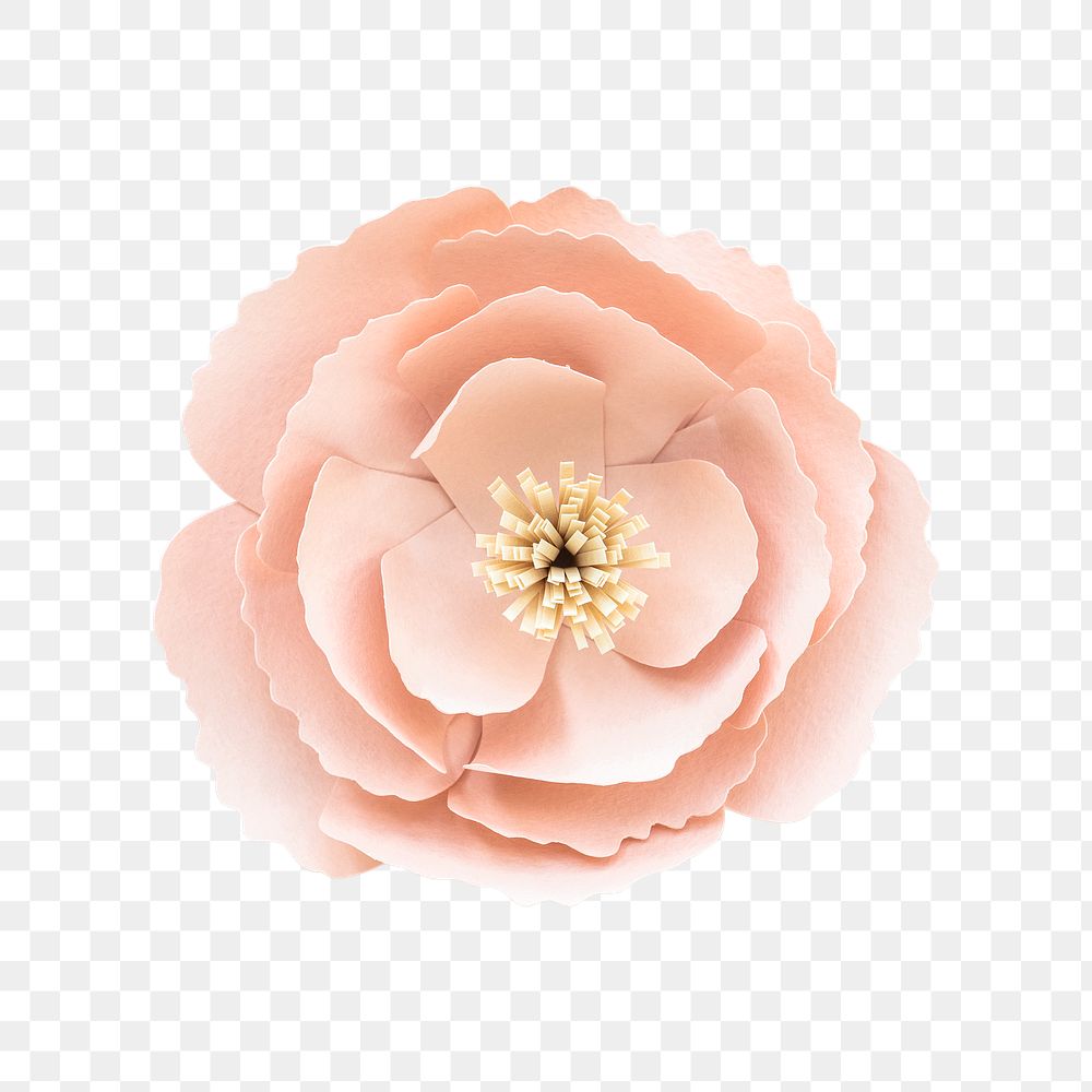 Polyantha rose flower paper craft transparent png