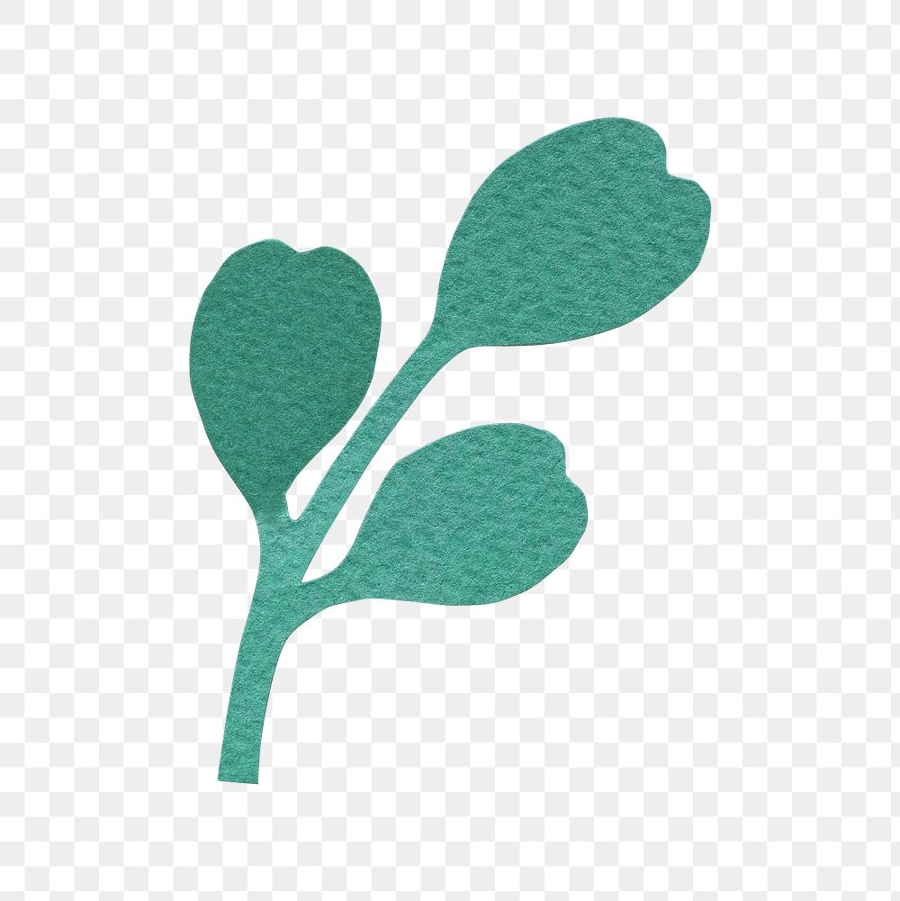 Green eucalyptus leaves paper craft | Premium PNG Sticker - rawpixel