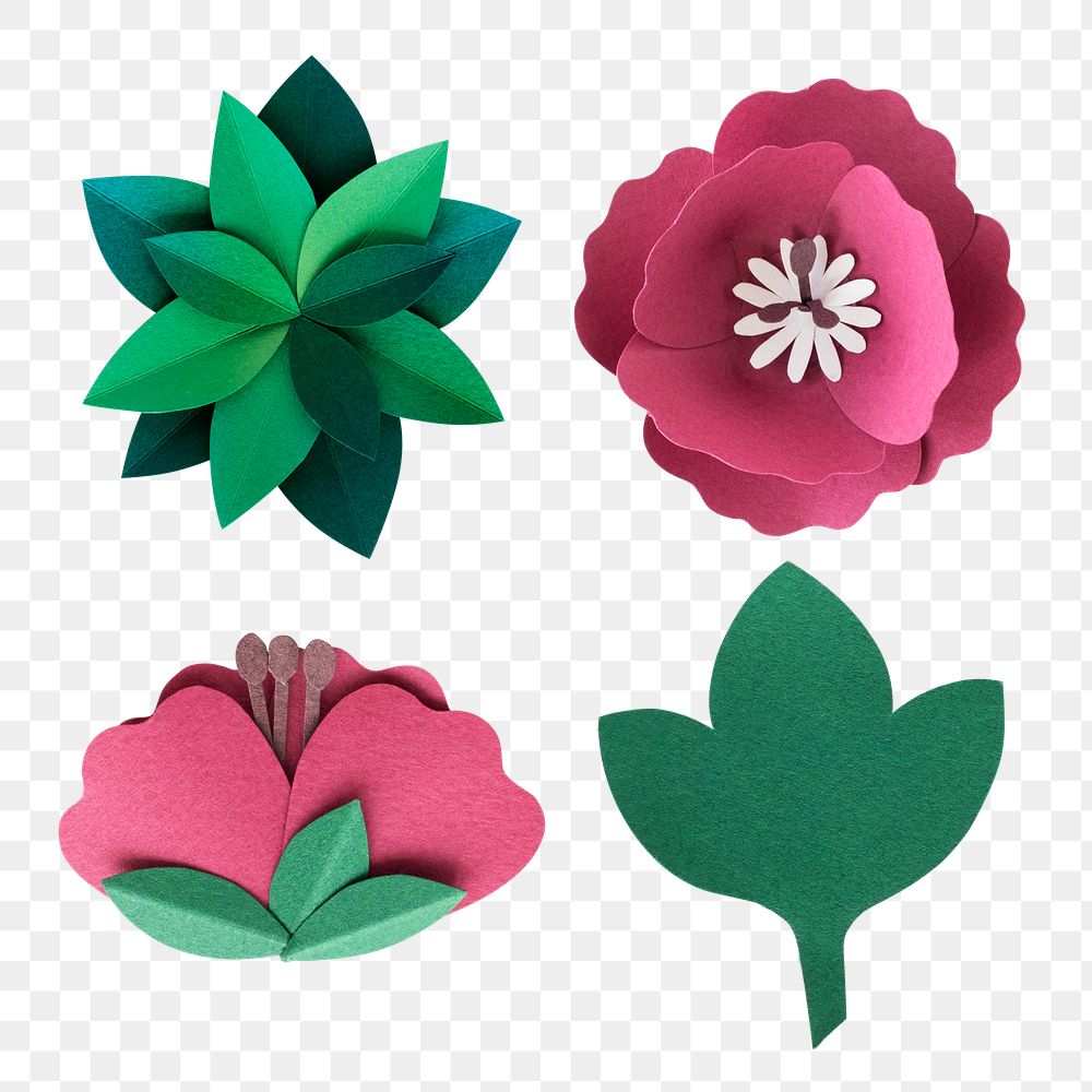 Poppy and leaf paper craft png set