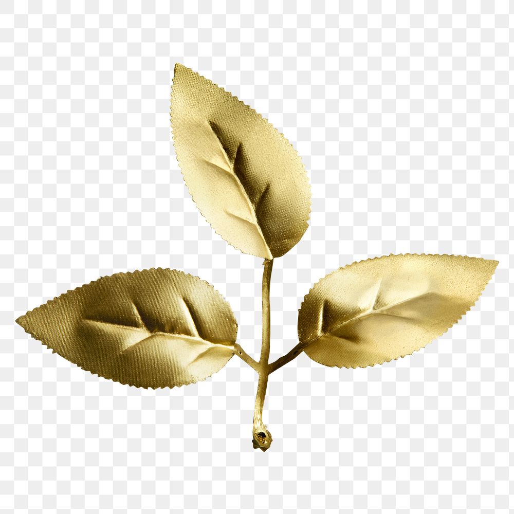 Shiny golden leaves transparent png
