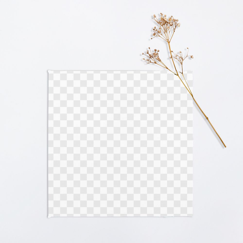 Blank canvas png transparent mockup