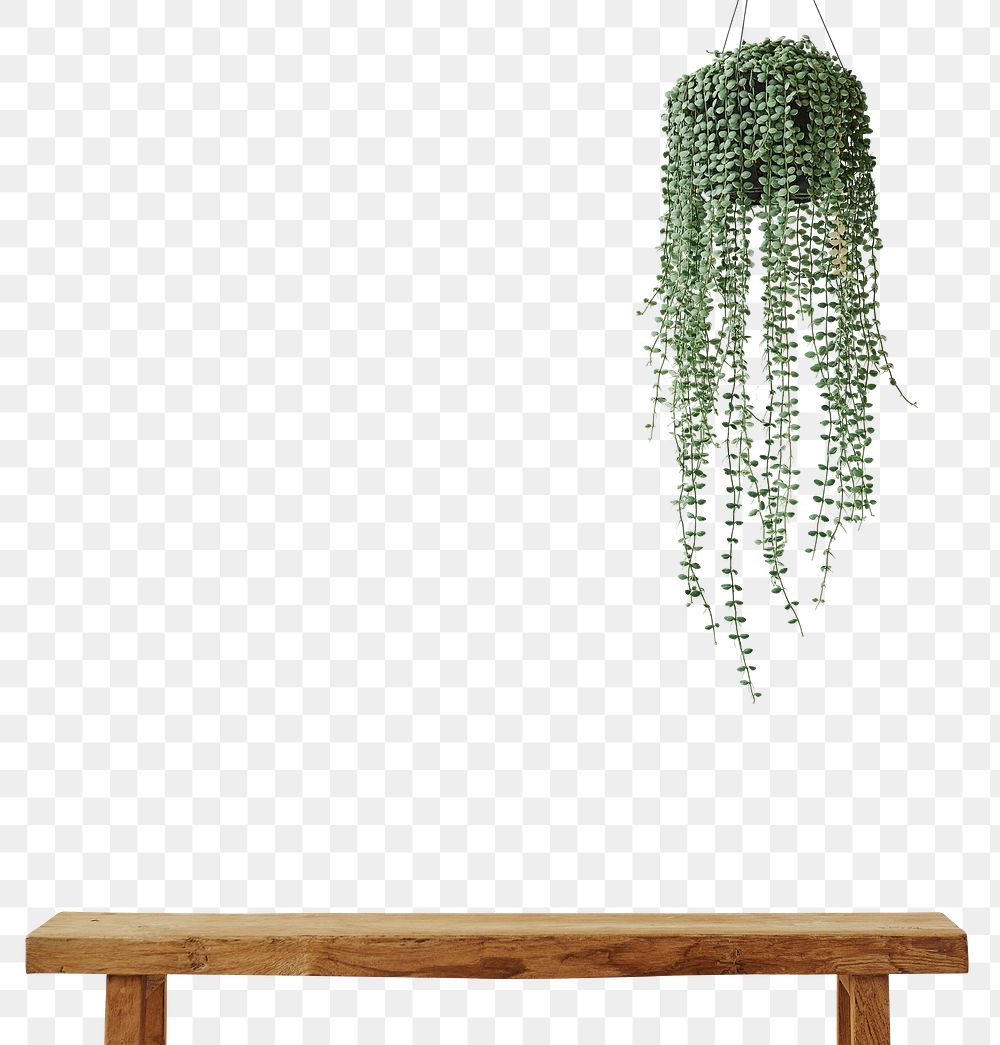 Angel vine png mockup with wooden bench