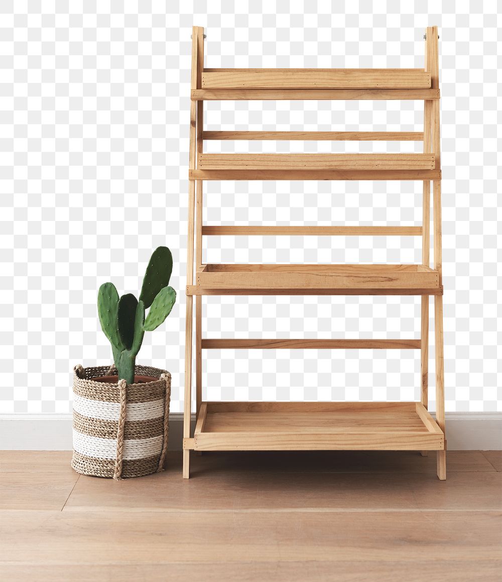 Wall mockup png with cactus and plant shelf