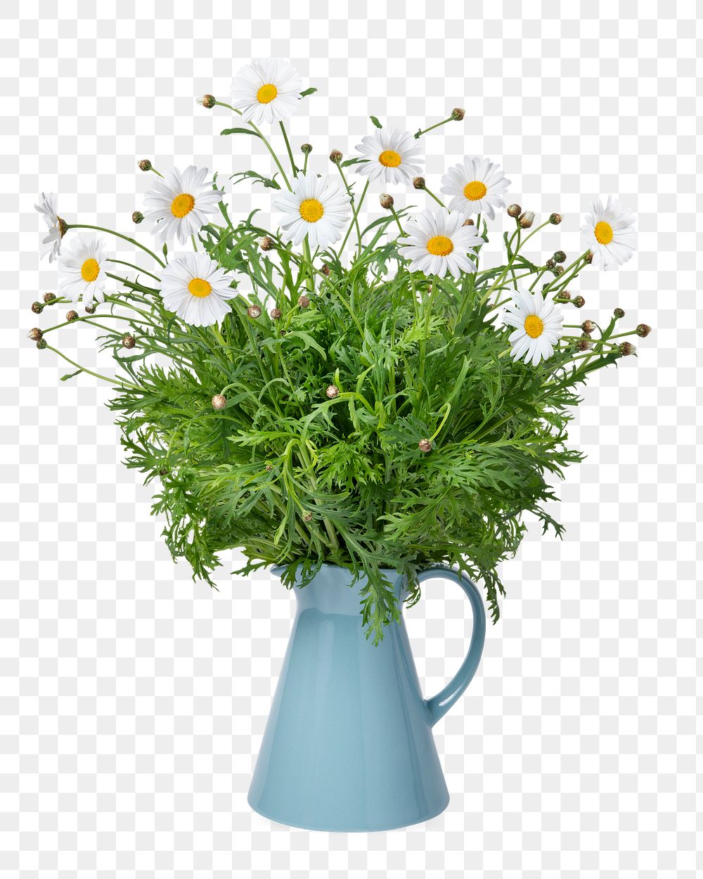 PNG daisies in blue vase, isolated object, collage element design