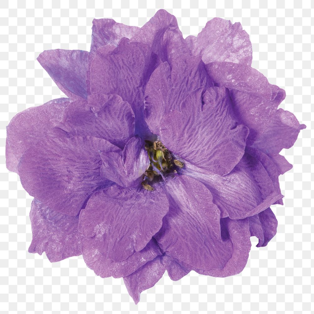 PNG purple delphinium flower sticker