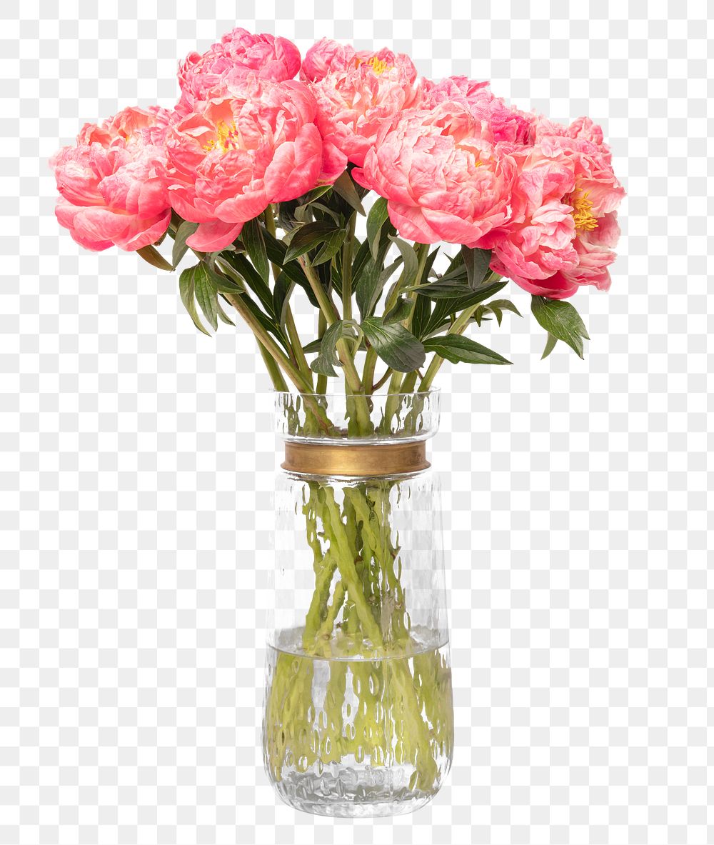 Pink peonies png, in glass vase, isolated object, collage element design
