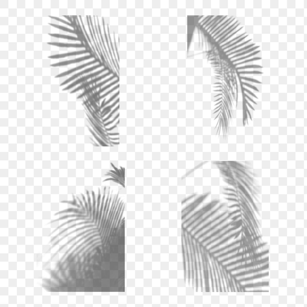 Collection of palm leaves shadow design element