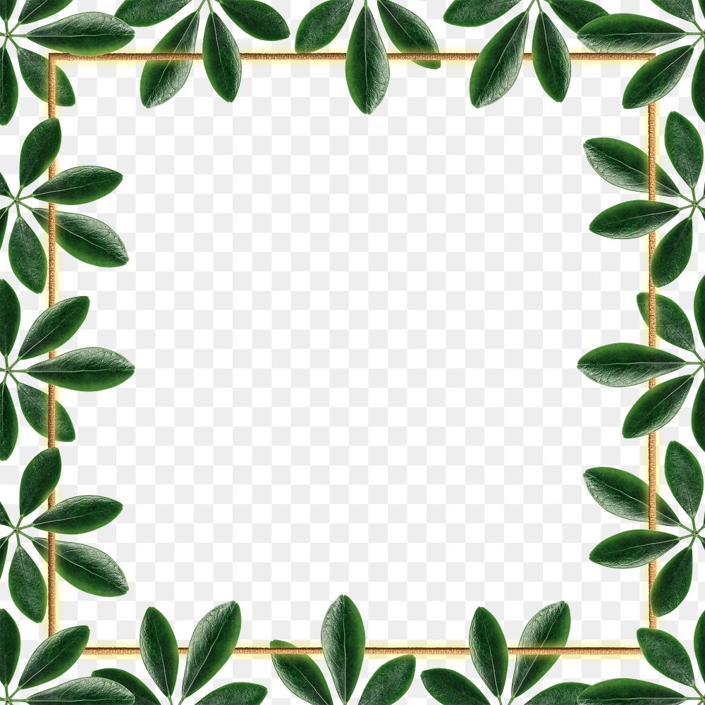 Green leaves with square frame design element