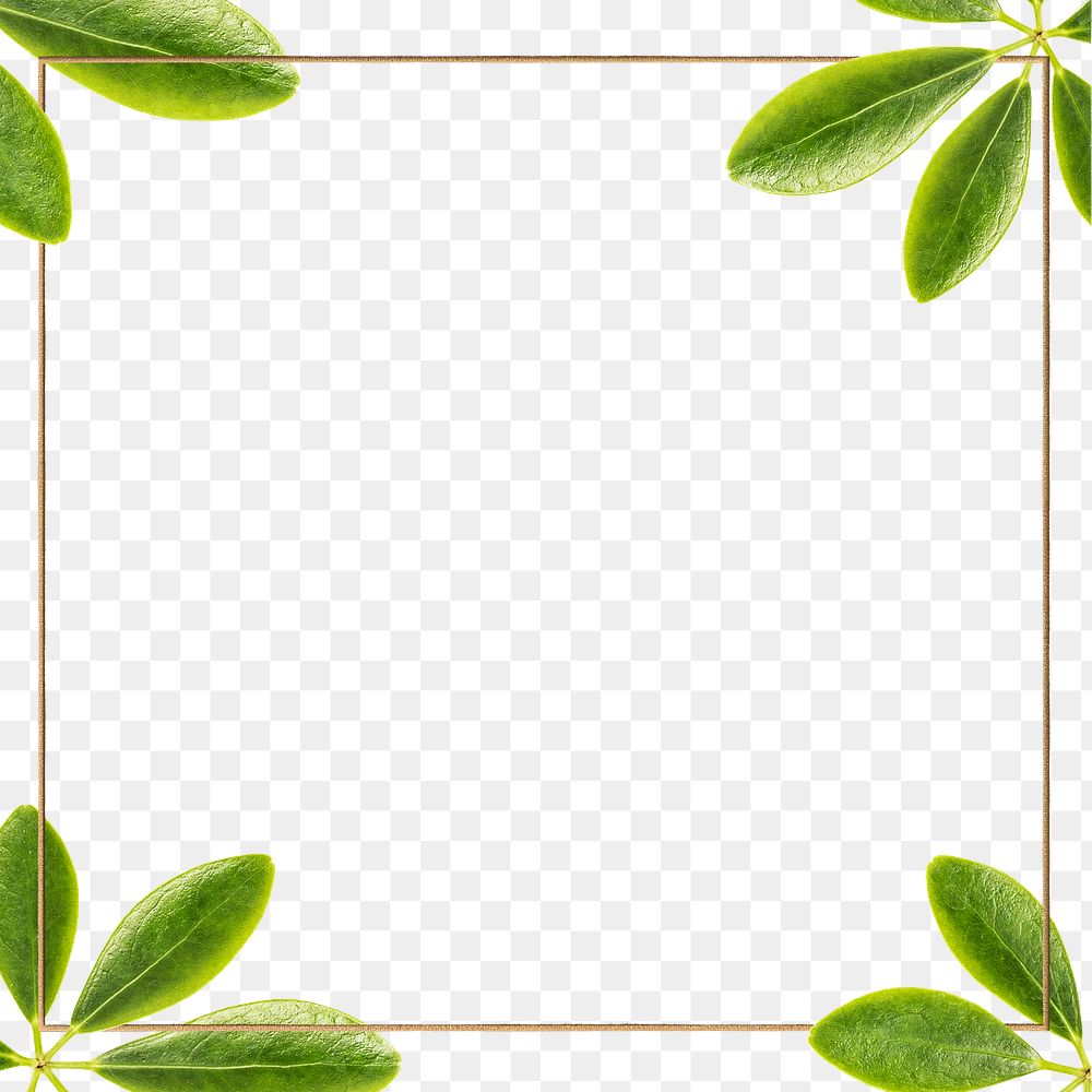 Green leaves with square frame design element