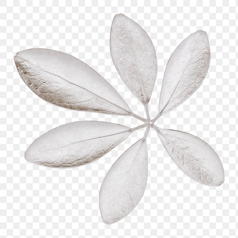 Schefflera Arboricola leaves painted in white design element
