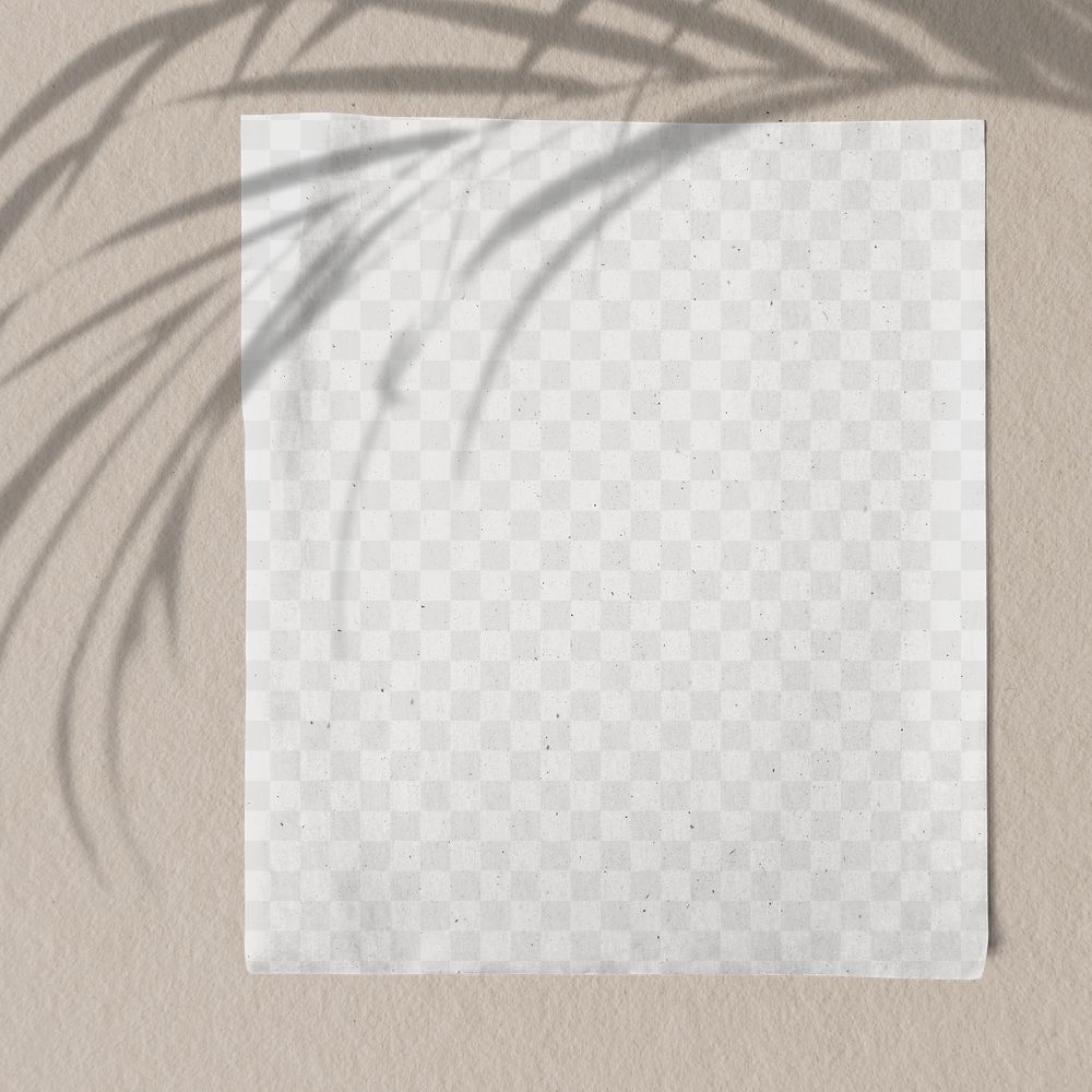 Blank paper with palm leaves shadow on a concrete wall