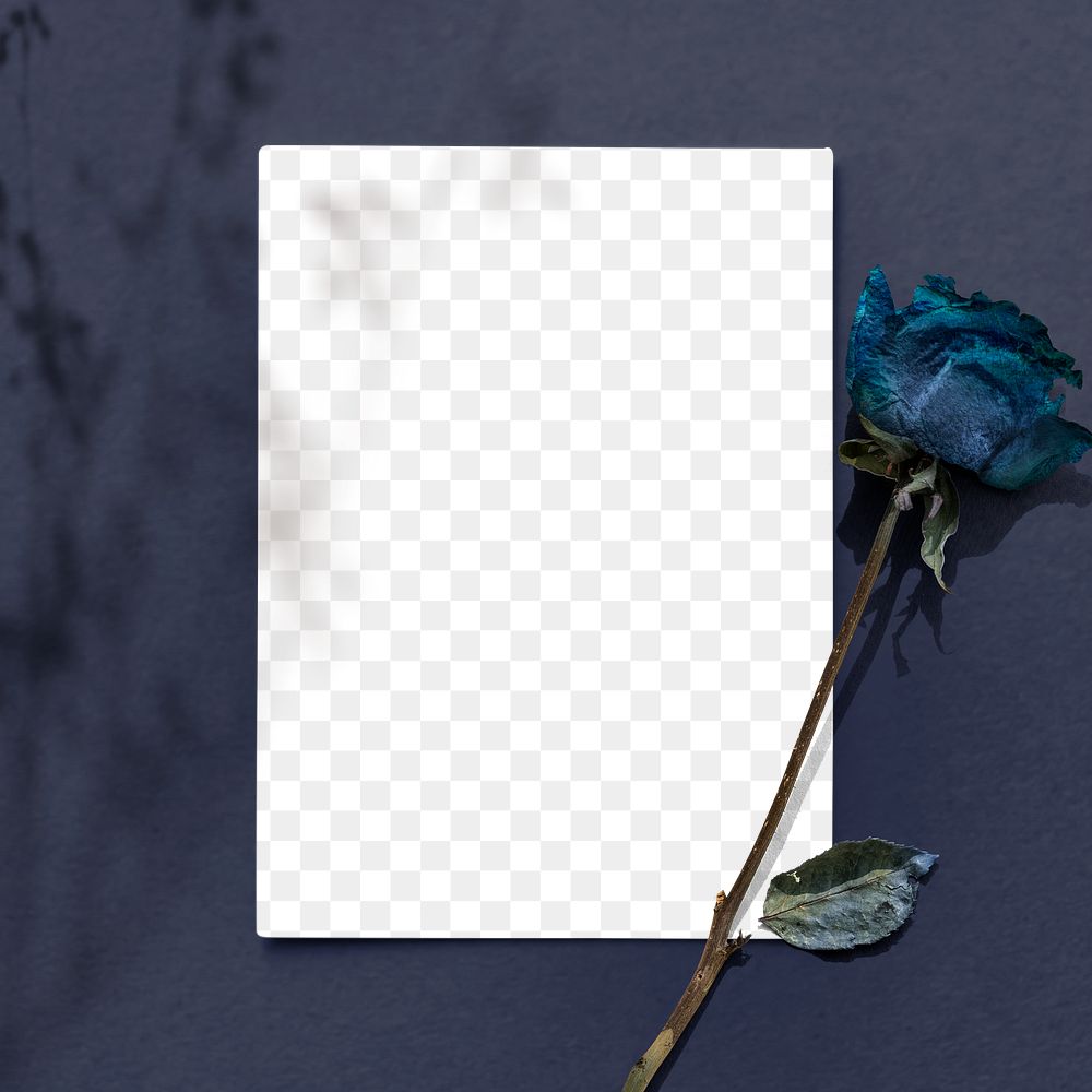 Blank card with dried blue rose on a blue background