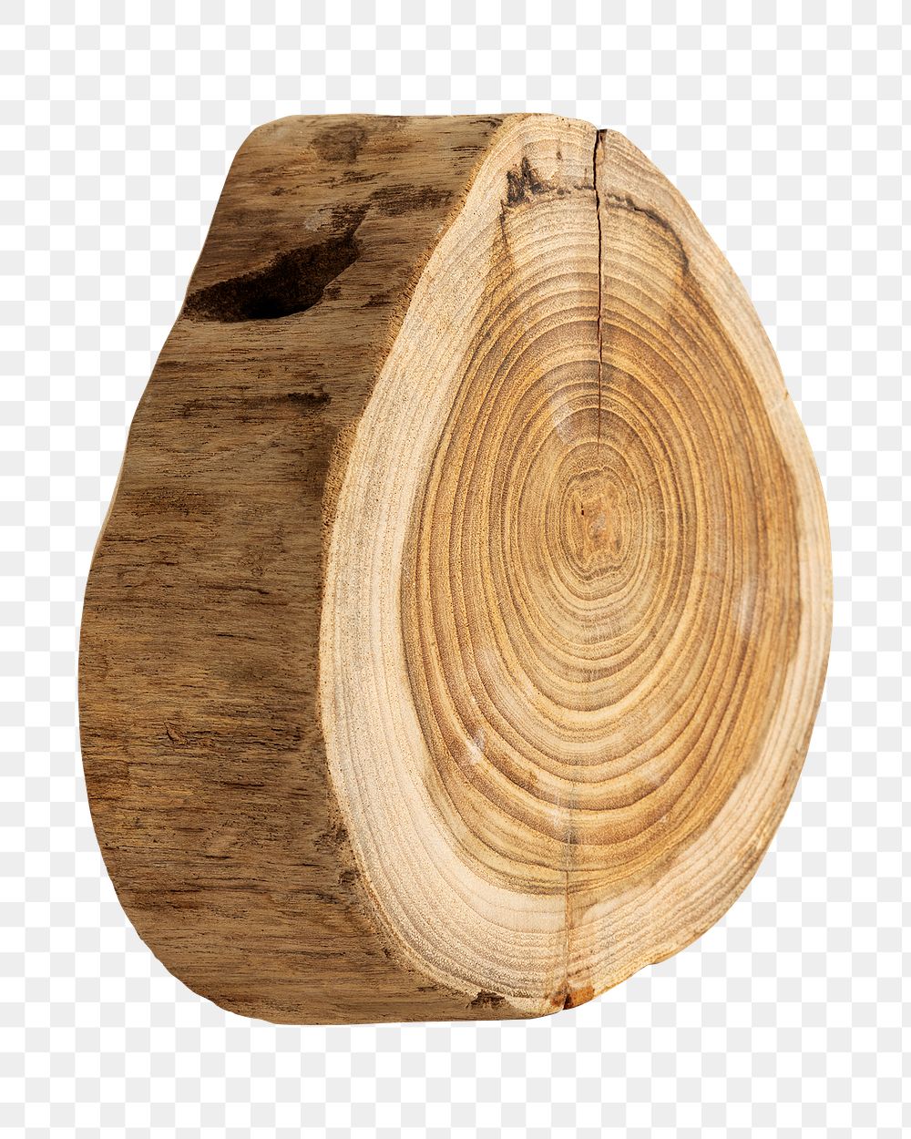 Single chopped wood slice design element