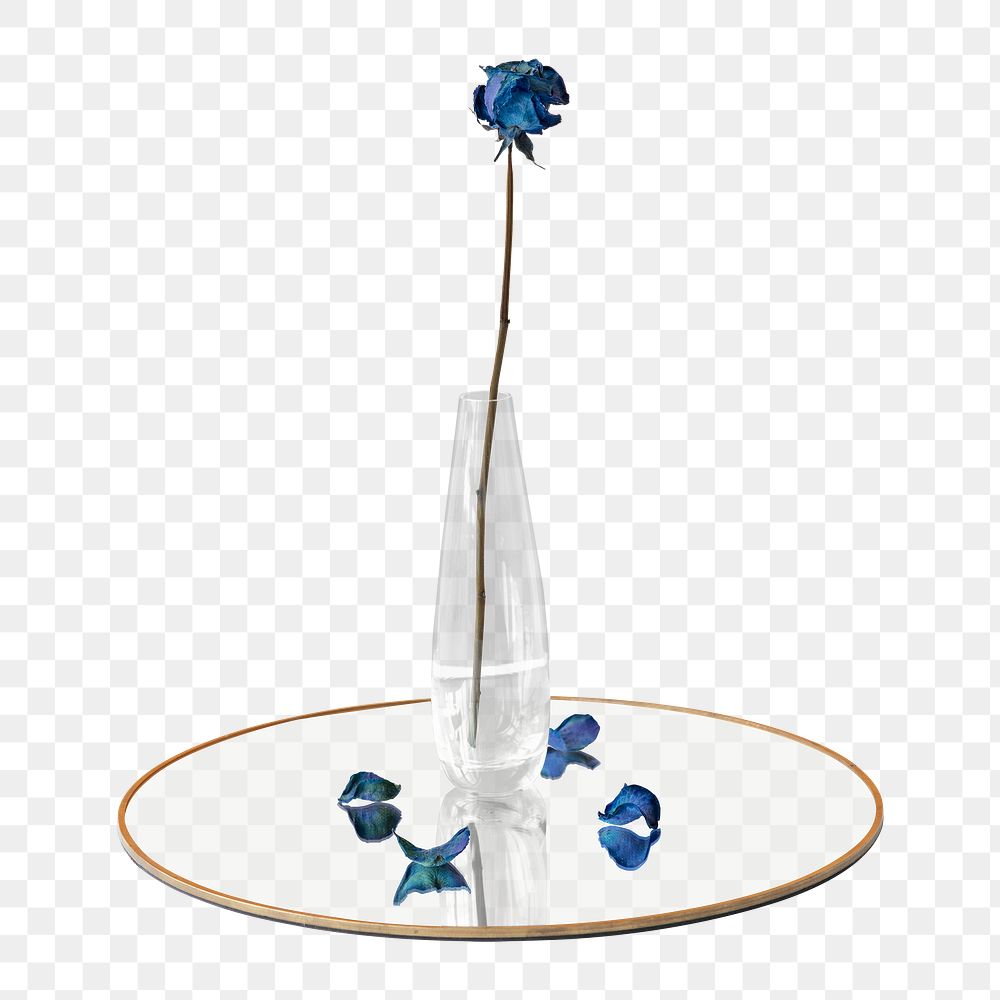 Dried blue rose in a clear vase on a shiny tray design element