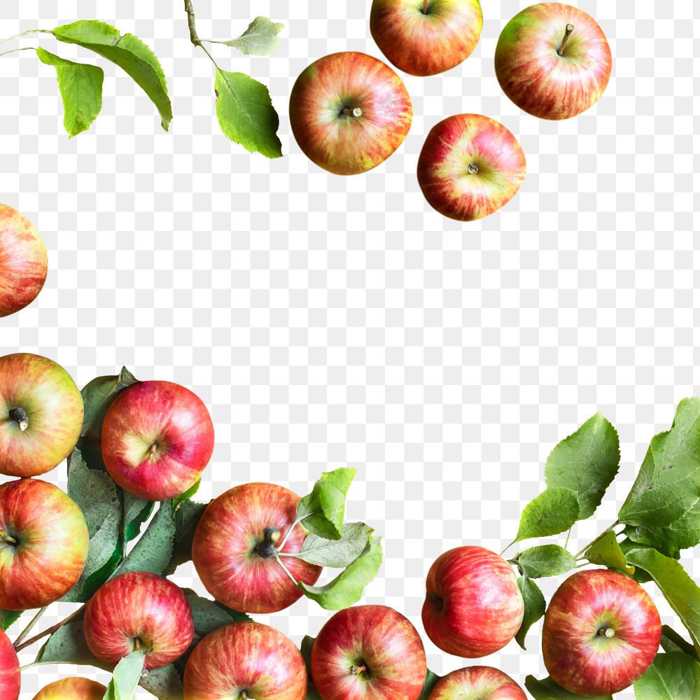 Red apples and leaves transparent png background