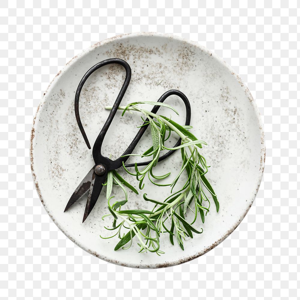 Png rosemary leaves flat lay food photography