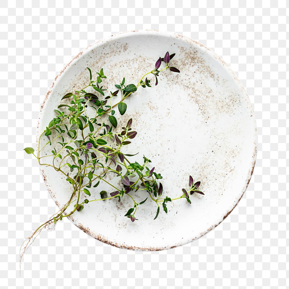 Png fresh thyme leaves on plate