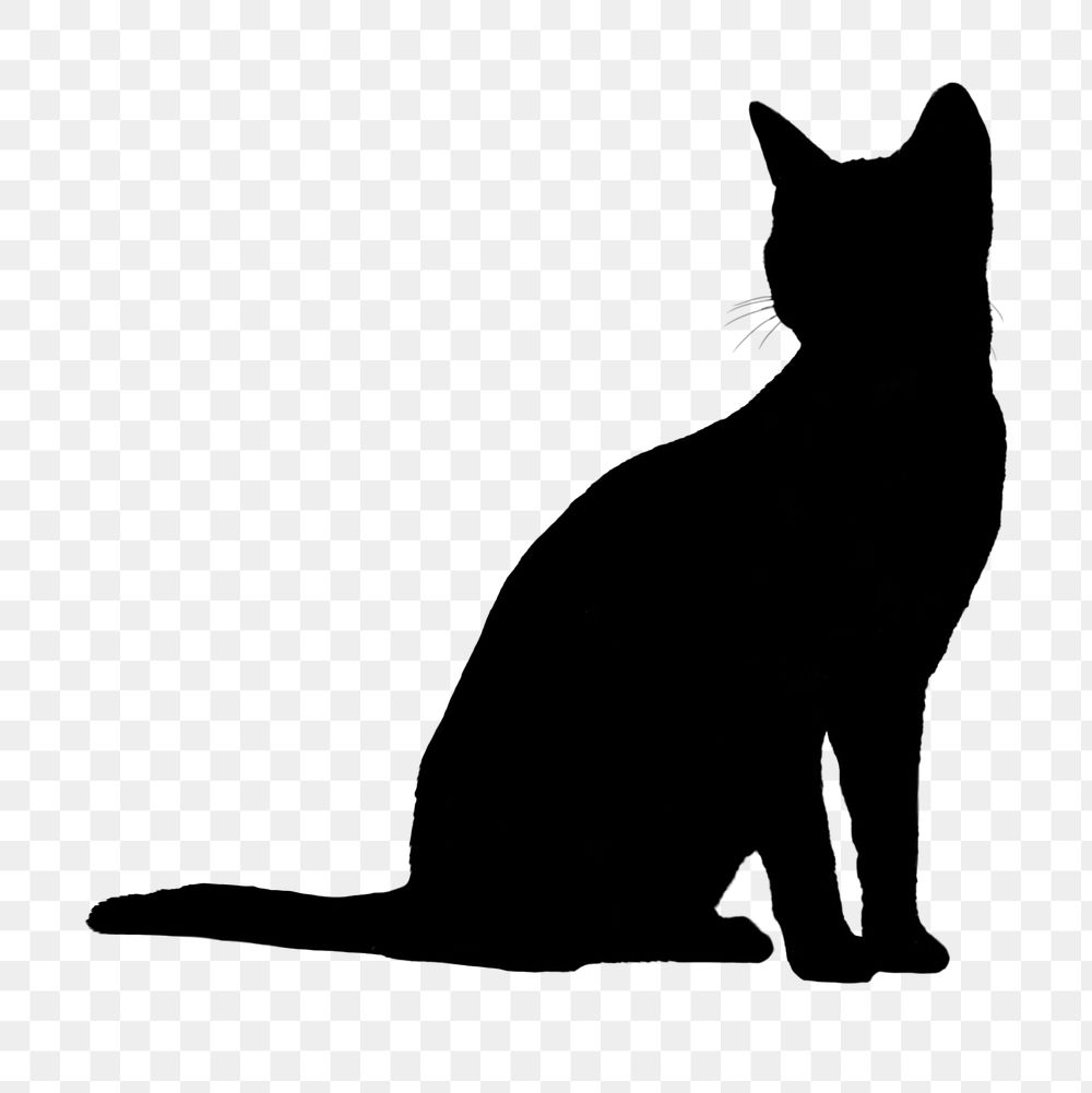 Cat silhouette png sticker, pet image on transparent background