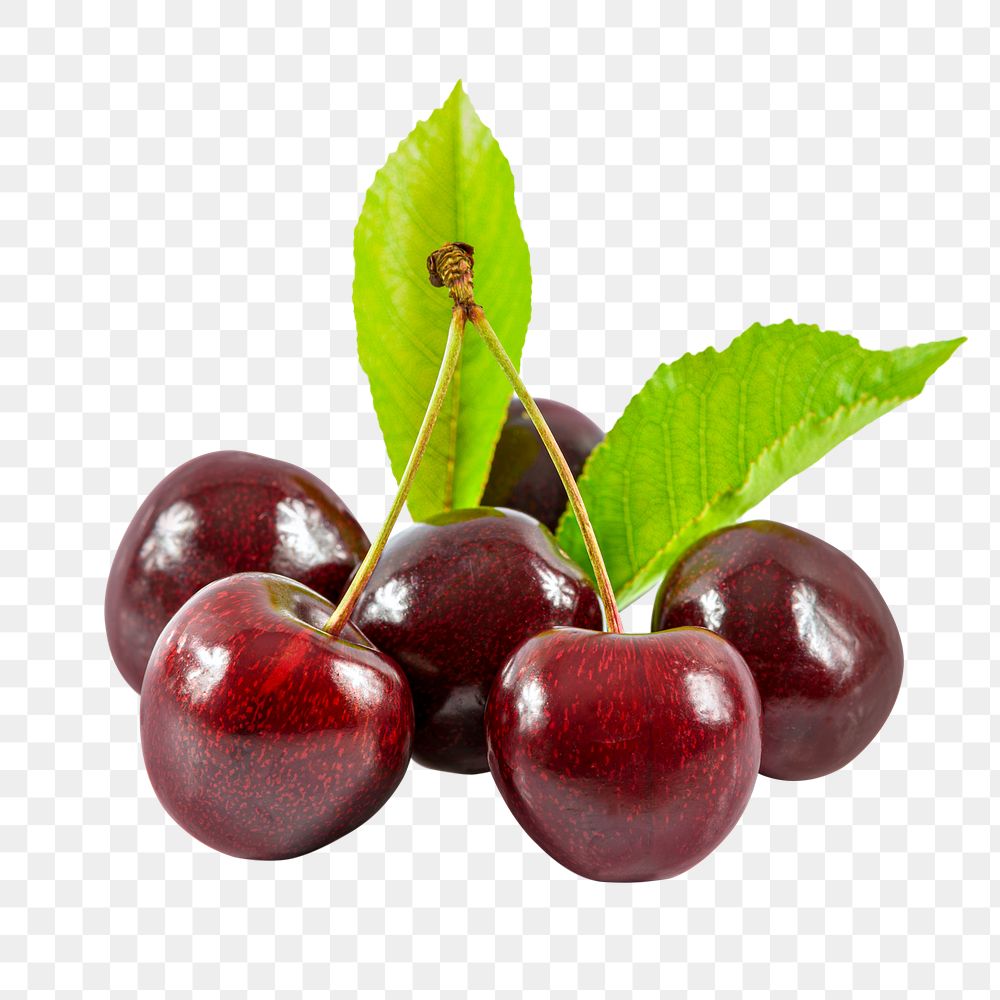 Red cherries png clipart, organic fruit on transparent background
