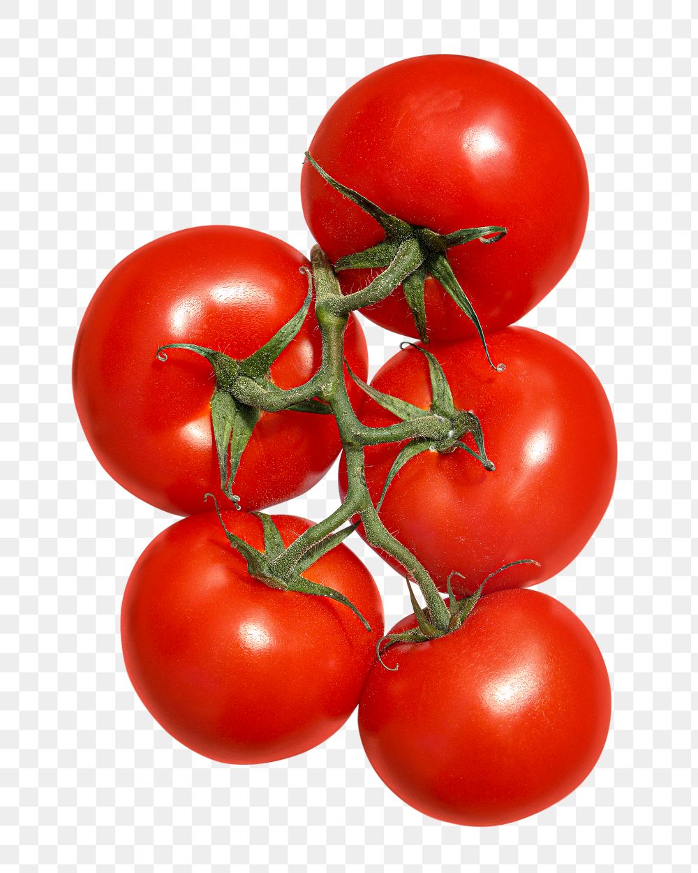 Tomato bunch png clipart, fresh vegetable on transparent background