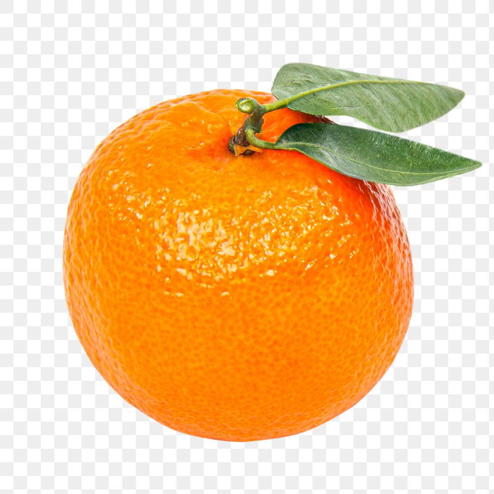 Orange png clipart, citrus fruit on transparent background