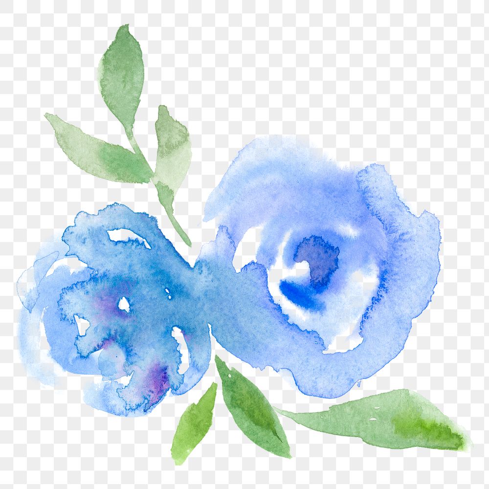 Blue png rose flower watercolor spring seasonal graphic