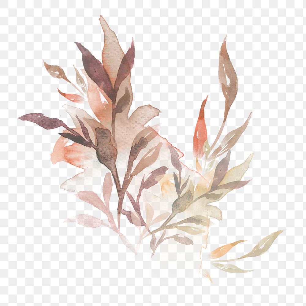 Watercolor png leaf brown floral autumn seasonal graphic