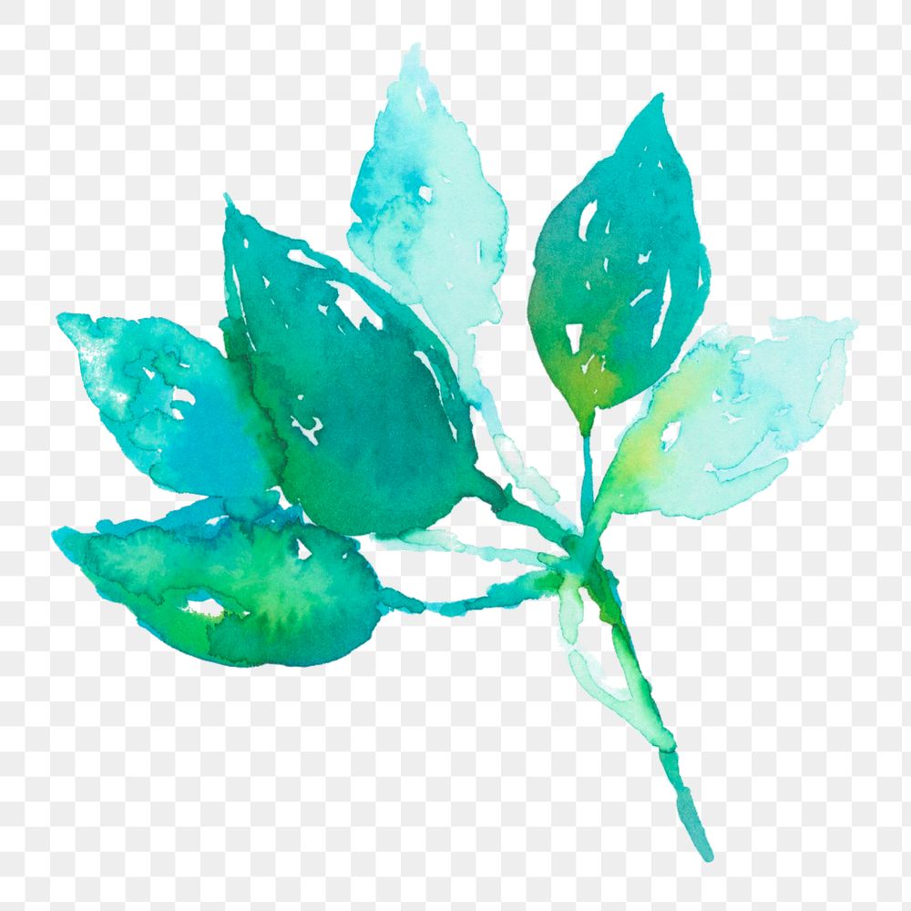 Watercolor png leaf green floral spring seasonal graphic