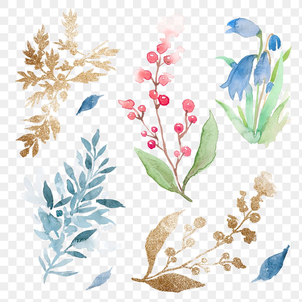 Winter png leaves set watercolor blue seasonal graphic