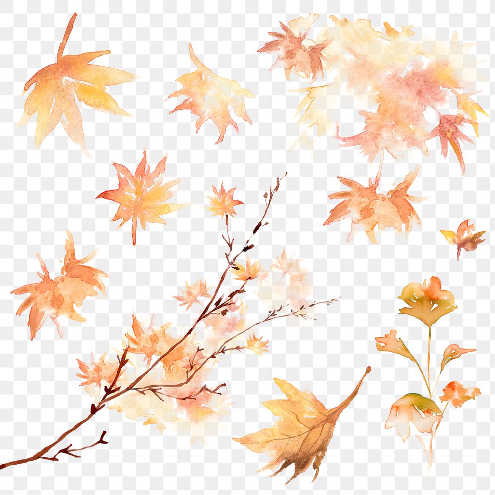 Autumn png leaves set watercolor orange seasonal graphic