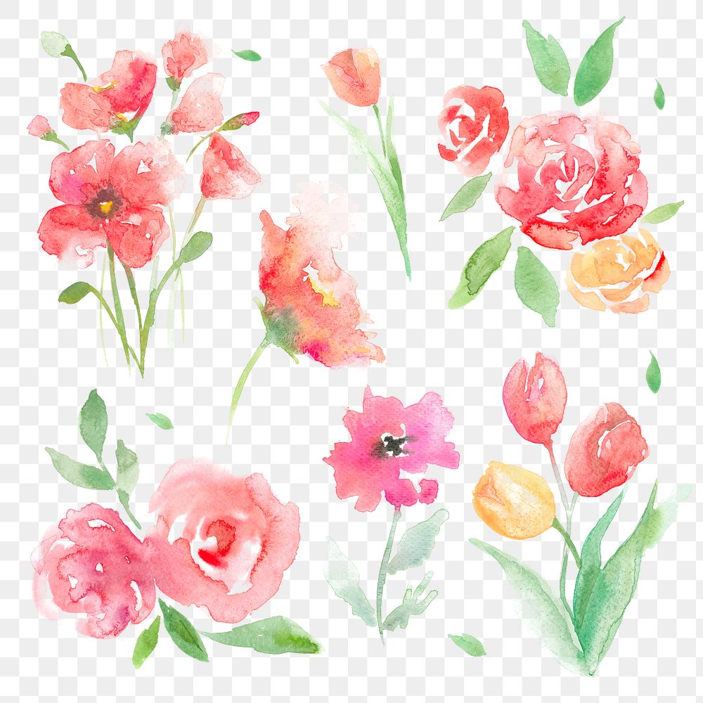 Season png flowers set watercolor pink seasonal graphic