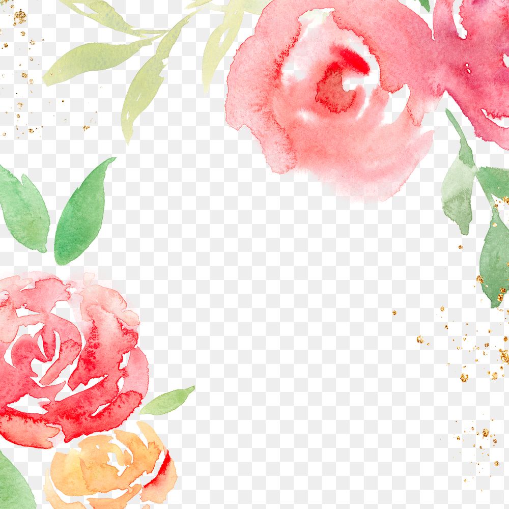 Pink png rose frame background spring watercolor illustration