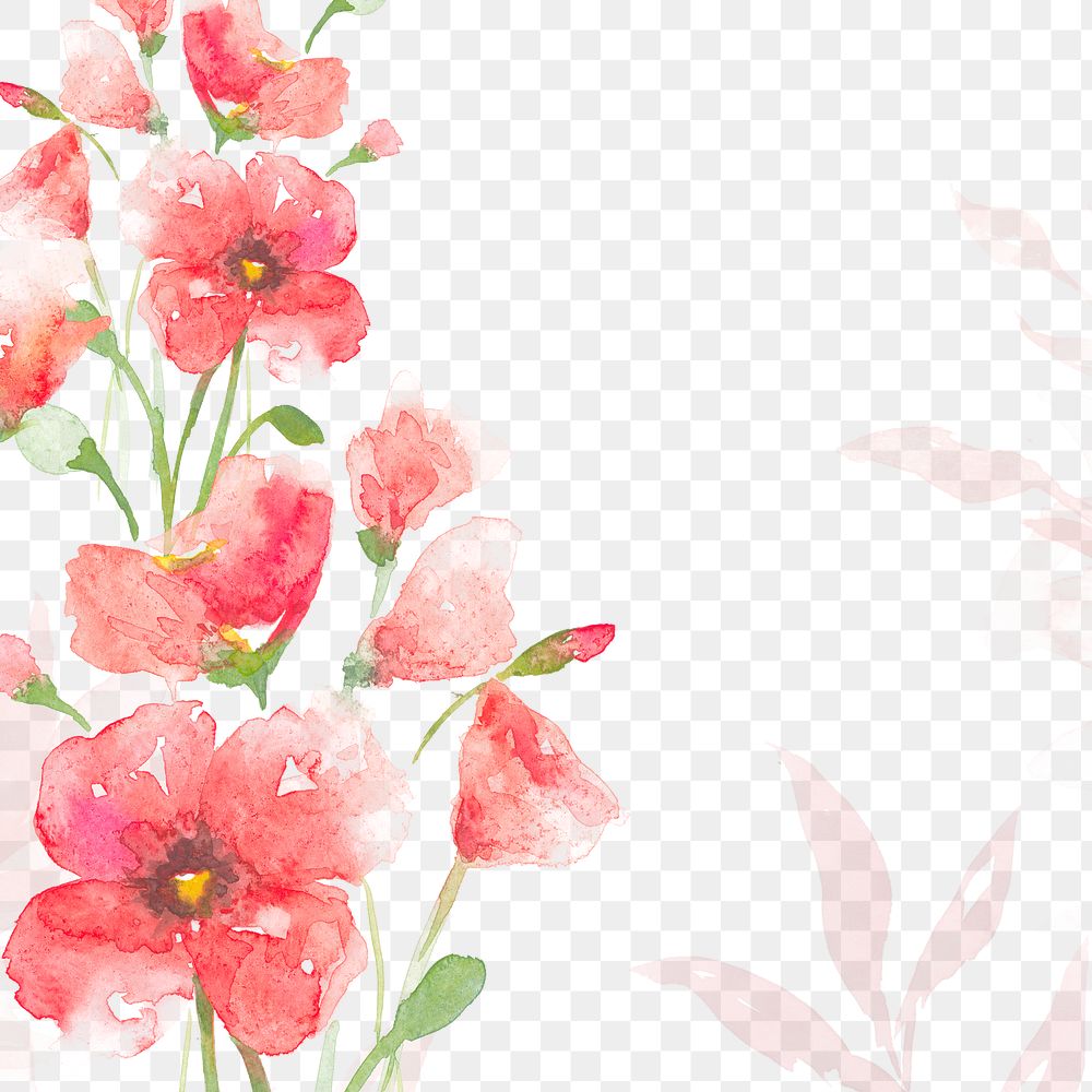 Watercolor png rose border background in pink floral spring season