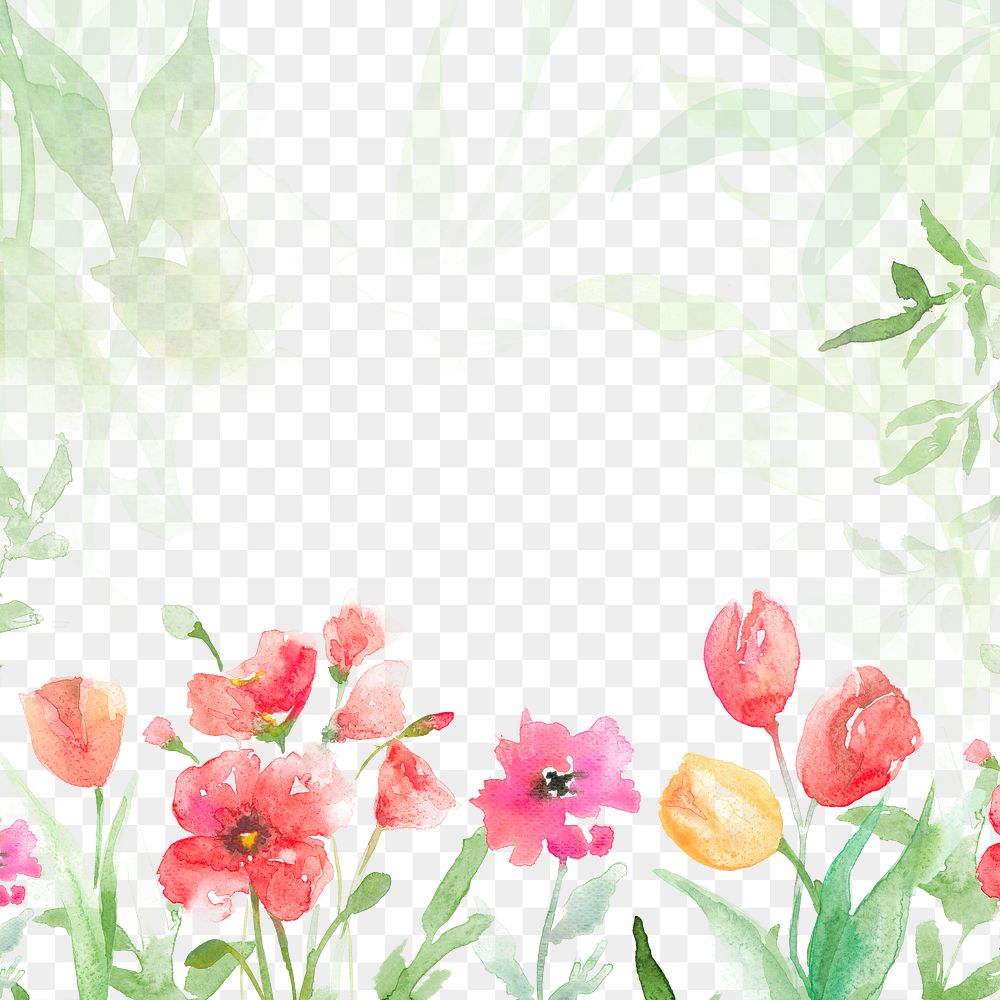 Watercolor png flowers frame background in green floral spring season