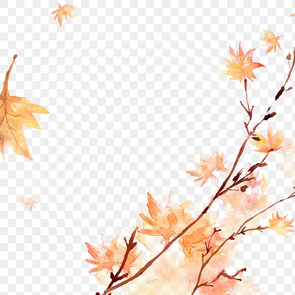 Maple png leaf border background in orange watercolor autumn season