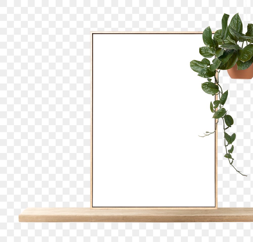 Frame png transparent background with housplant