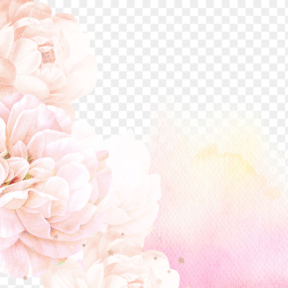 Pink rose png background, pastel aesthetic design, remixed from vintage public domain images