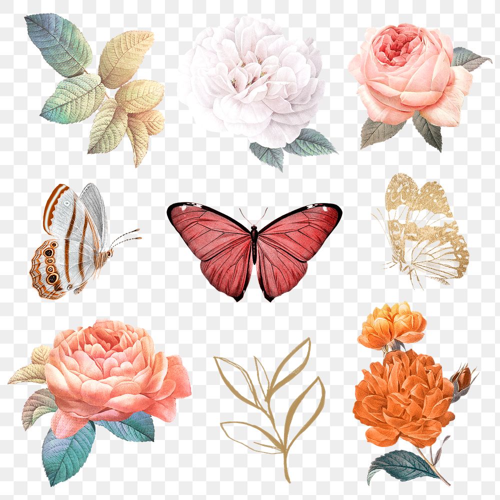 Png flower & butterfly stickers, watercolor design, remixed from vintage public domain images
