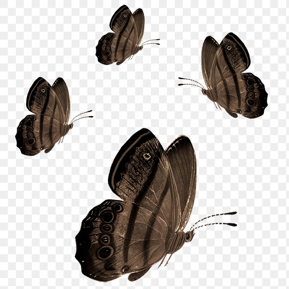 Butterfly sticker png set, design, remixed from vintage public domain images