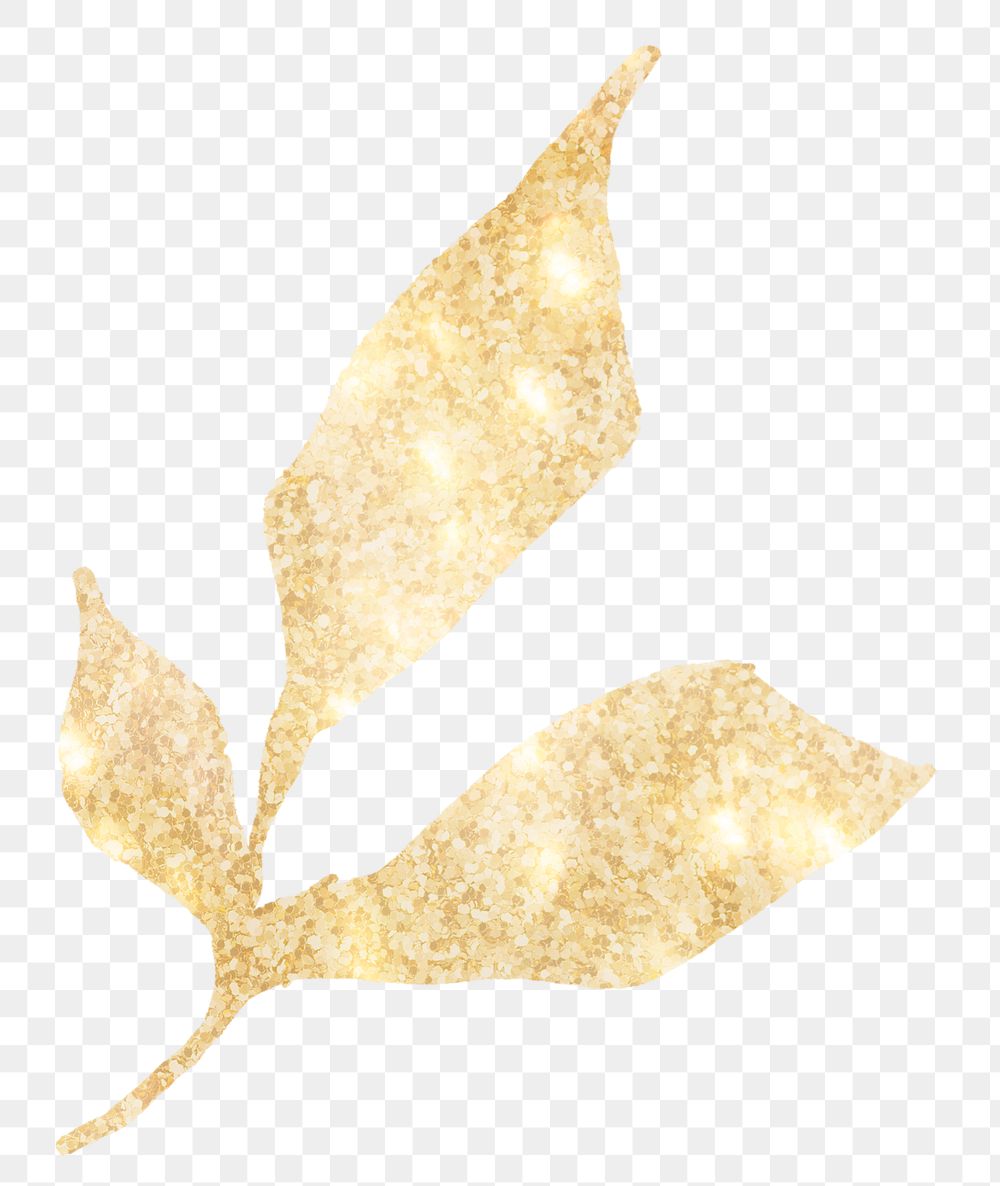 Png leaf aesthetic sticker, gold illustration, remixed from vintage public domain images