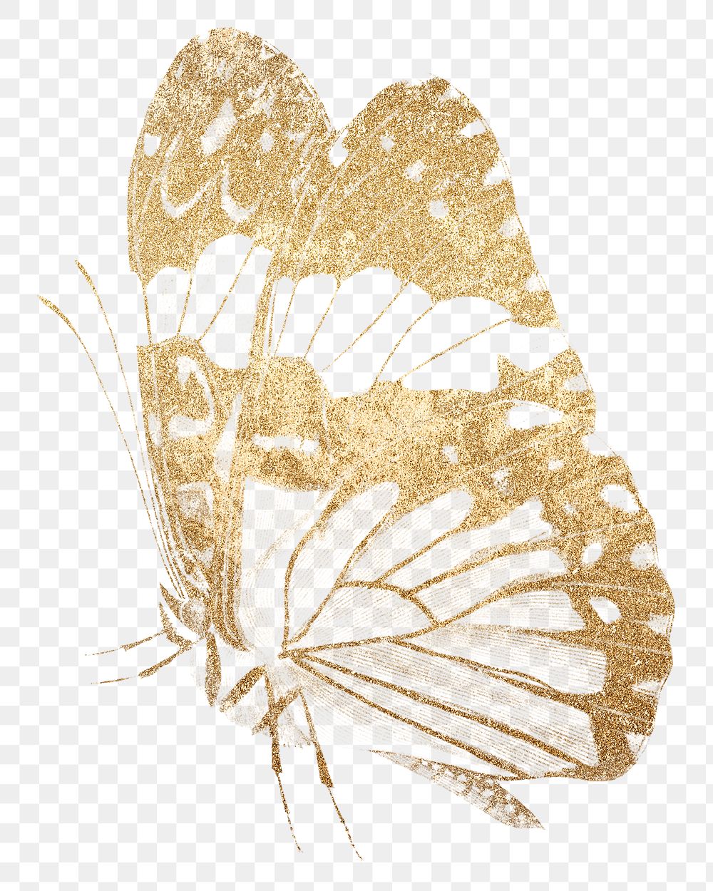 Png butterfly gold sticker, illustration, remixed from vintage public domain images