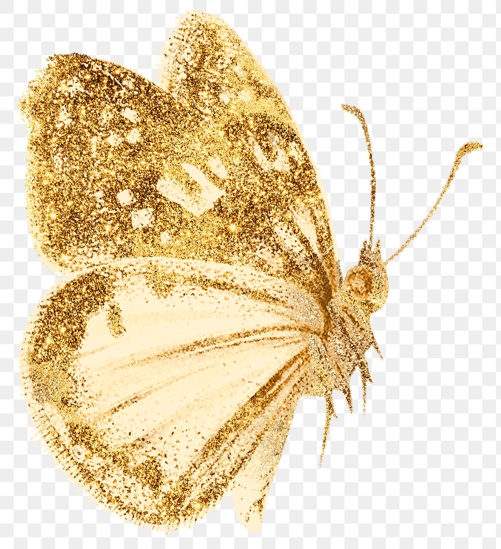 Png butterfly aesthetic sticker, gold illustration, remixed from vintage public domain images