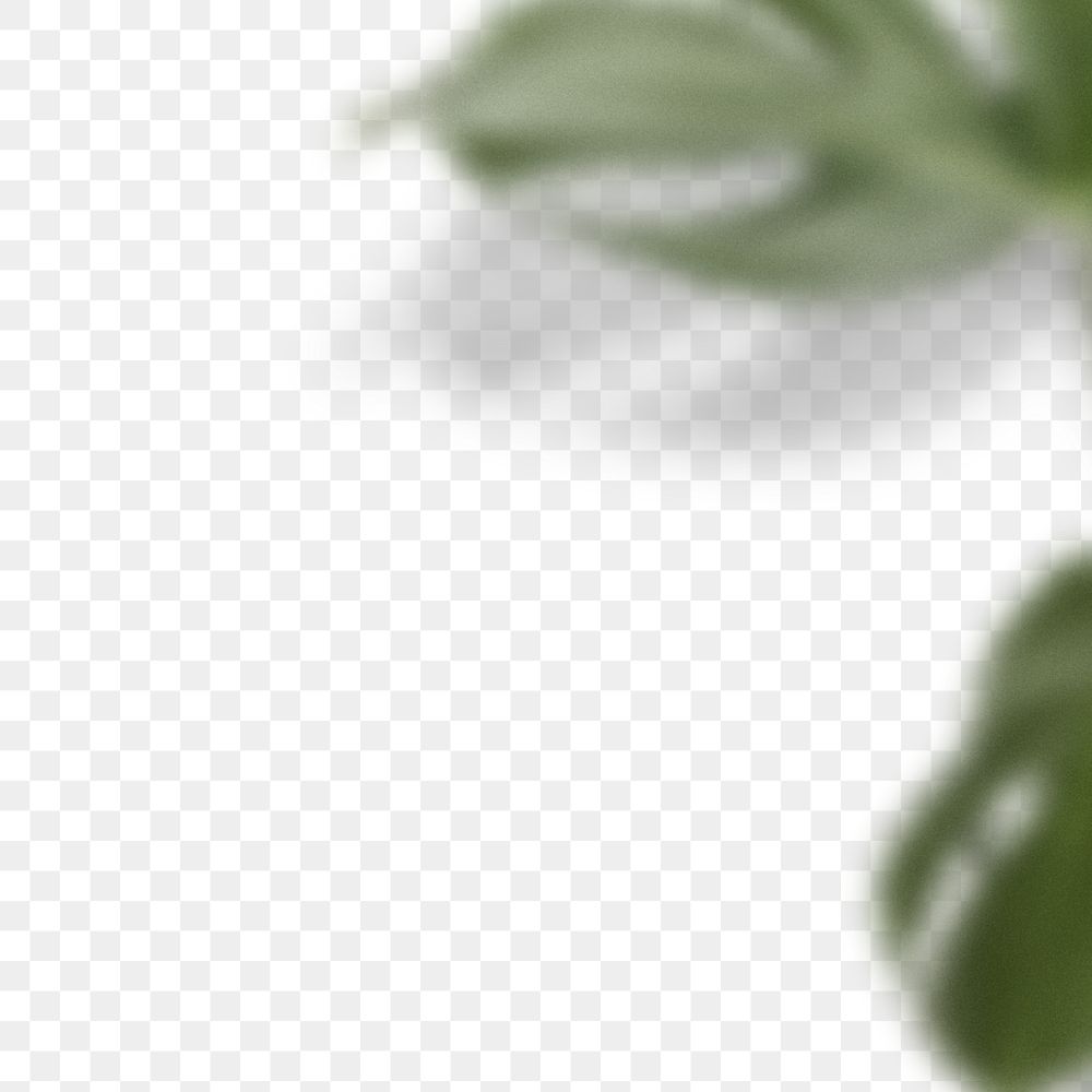 Leaf background png transparent, monstera border in minimal design