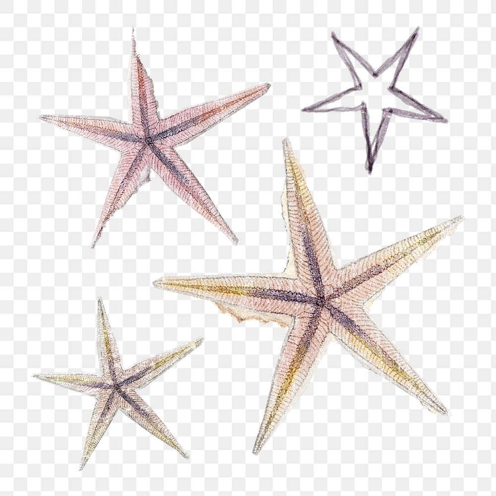 Star shape png clipart, paper craft collage element on transparent background