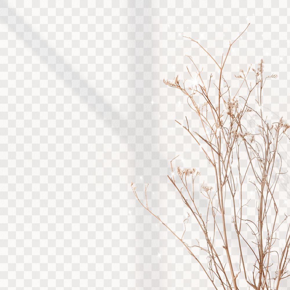 Transparent background png, dried flower with glitter design