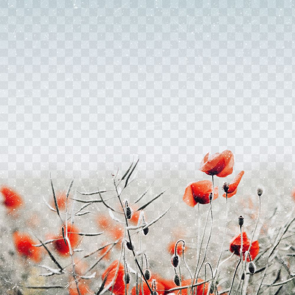 Flower border png, transparent background, spring vibes