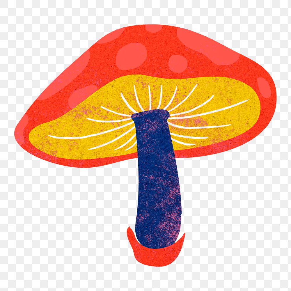 Cute mushroom png clipart, cottage core colorful on transparent background