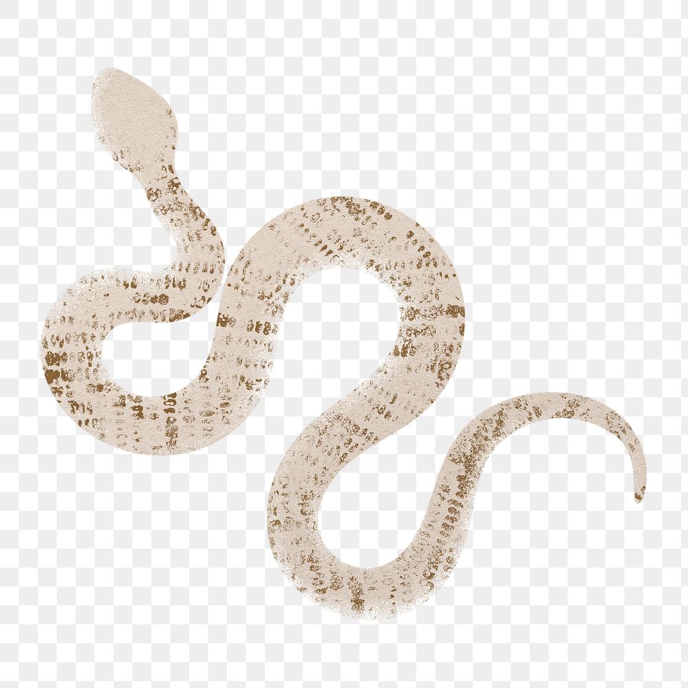 Brown snake png sticker, textured animal on transparent background