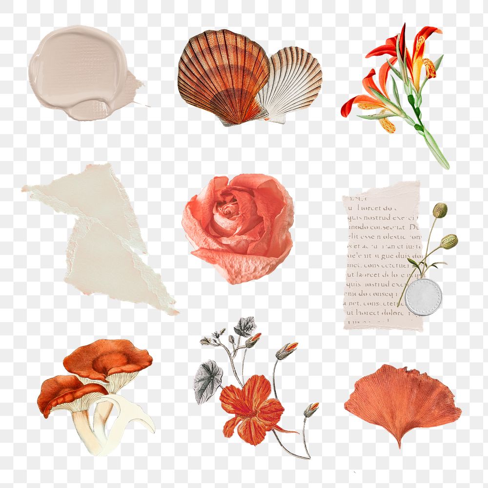 Scrapbook collage sticker png element with flowers and note paper set