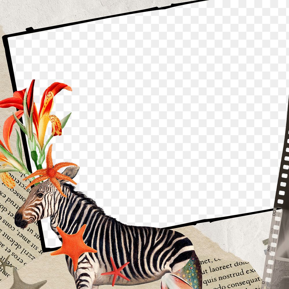 Zebra png transparent note in frame, surreal hybrid animal scrapbook illustration
